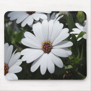 Tapis De Souris Marguerite blanche en fleur