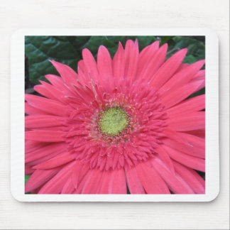 Tapis De Souris Marguerite de Gerbera
