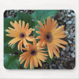 Tapis De Souris Marguerite magnifique Mousepad de Gerber