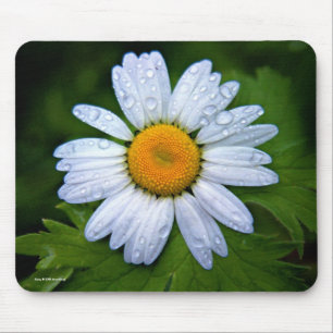 Tapis De Souris Marguerite Mousepad