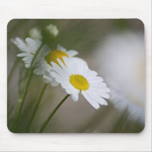 Tapis De Souris Marguerites