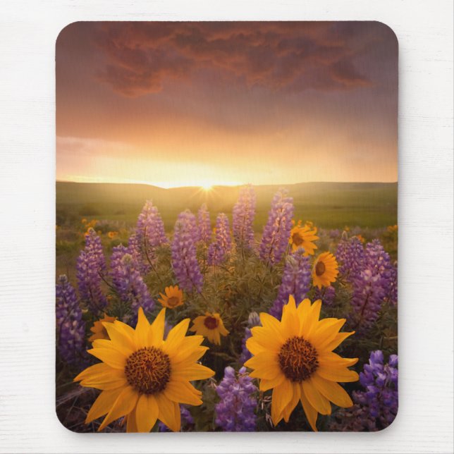 Tapis De Souris Marguerites de coucher du soleil (Devant)