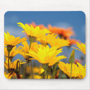 Tapis De Souris Marguerites orange et jaune de Namaqualand