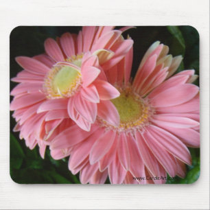 Tapis De Souris Marguerites roses couleur pêche Mousepad