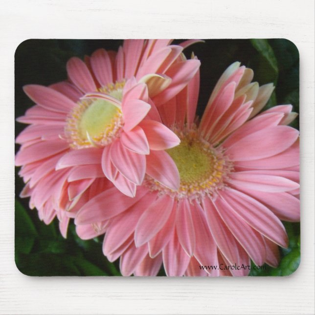 Tapis De Souris Marguerites roses couleur pêche Mousepad (Devant)