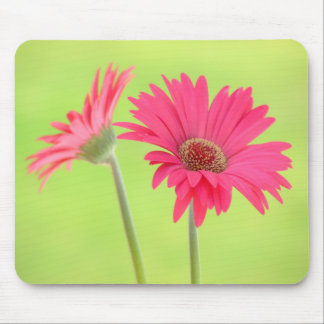 Tapis De Souris Marguerites roses personnalisables de Gerber sur