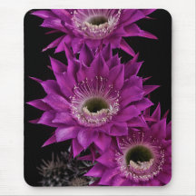 Maria Piazza à la troisième