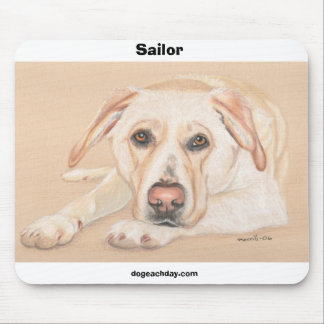 Tapis De Souris Marin, dogeachday.com