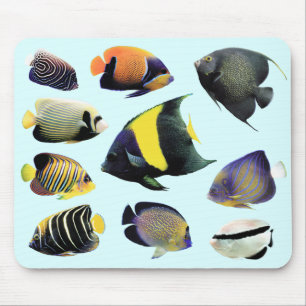 Tapis De Souris Marine Angelfishの ド ♥ マ パ, No.01