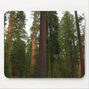 Tapis De Souris Mariposa Grove dans le parc national de Yosemite