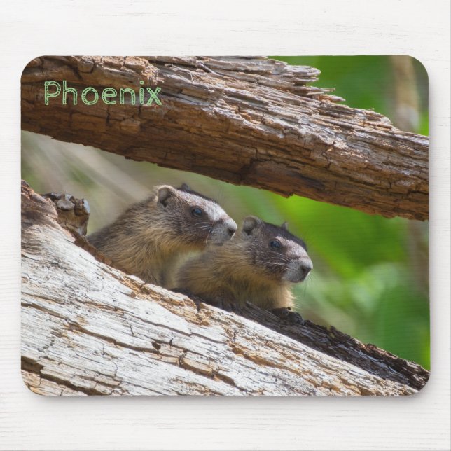 Tapis De Souris Marmot Brothers (Devant)