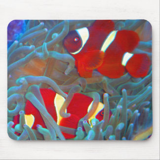 Tapis de souris marron de Clownfish