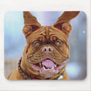 Tapis De Souris Mastiff
