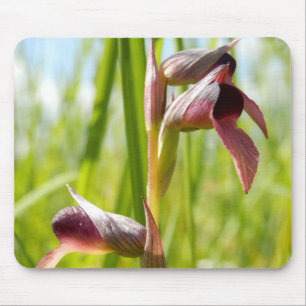 Tapis De Souris Mat de la souris d'orchidée de langue