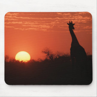 Tapis De Souris Mauspad Giraffe Coucher de soleil
