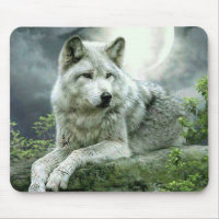 Meilleure vente Imaginative Wolf Art Illustration