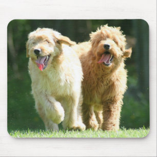 Tapis De Souris meilleurs amis