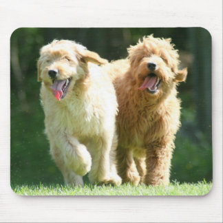 Tapis De Souris meilleurs amis
