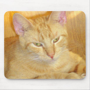 Tapis De Souris Meow Cats 15 Mousepad