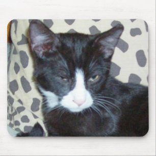 Tapis De Souris Meow Cats 20 Mousepad