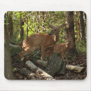 Tapis De Souris Mère et bébé cerf au Parc national de Shenandoah