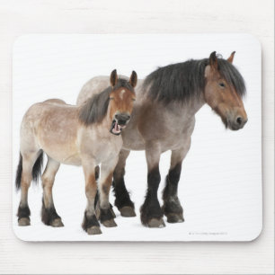 Tapis De Souris Mère et poulain souriant, cheval belge, Belge