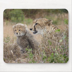 Tapis De Souris Mère guépard et petit