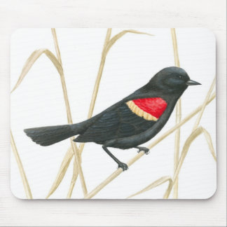 Tapis De Souris Merle à ailes rouges Mousepad