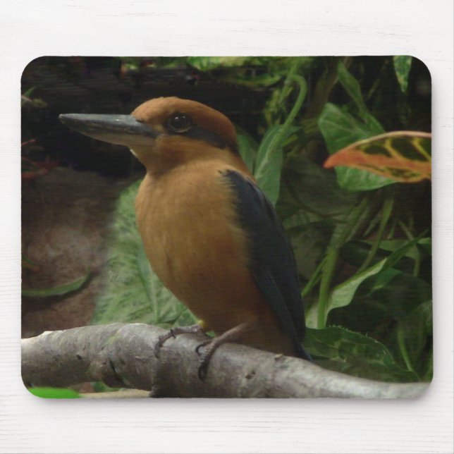 Tapis De Souris Micronésie Kingfisher (Devant)
