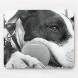 Tapis De Souris mignon chien pitbulle triste noir blanc avec balle