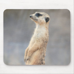 Tapis de souris mignon de Meerkat