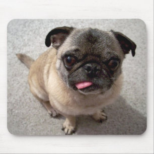 Tapis De Souris Mignons Carlins Chien Chien Cochettant La Langue D