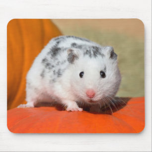 Tapis De Souris Mignons potes bruns bruns bruns bruns bruns bruns 