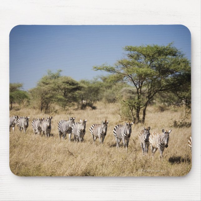 Tapis De Souris Migrer la zèbre, Tanzanie (Devant)