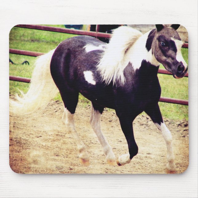 Tapis De Souris Mini Horse en liberté (Devant)