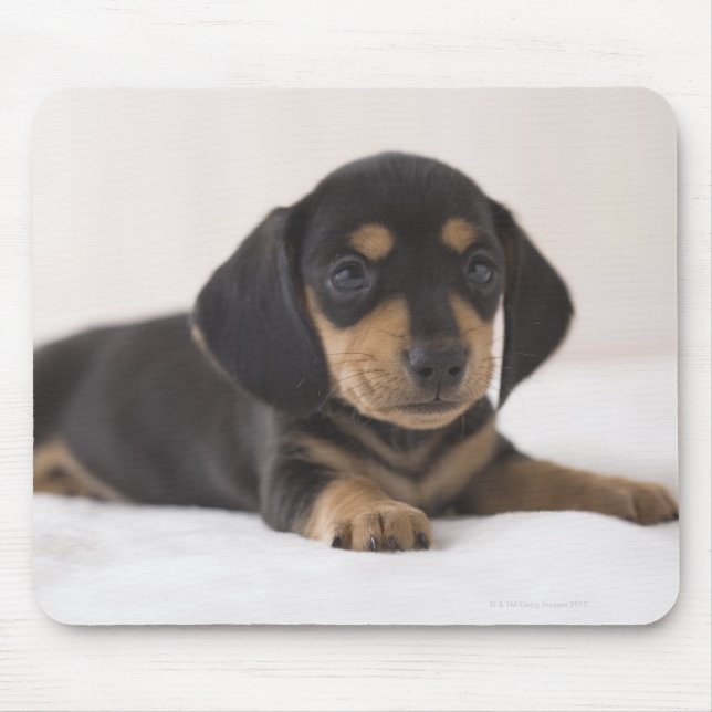 Tapis De Souris Miniature Dachshund (Devant)