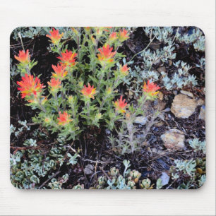 Tapis De Souris Miniature Garden at Gem Lake