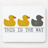 Minnesota Canard Canard Canard gris Canard - C'est