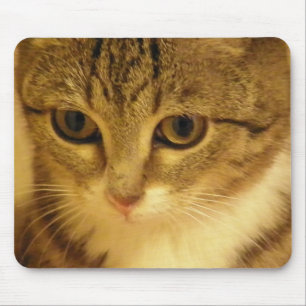 Tapis De Souris minou
