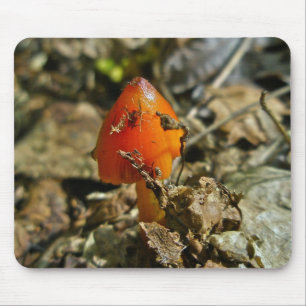 Tapis De Souris Minuscule Casquette de cône Amberina Mousepad
