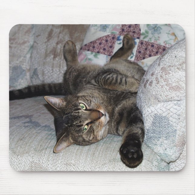 Tapis De Souris Mister-2 (Devant)