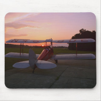 Tapis De Souris Mite de tigre