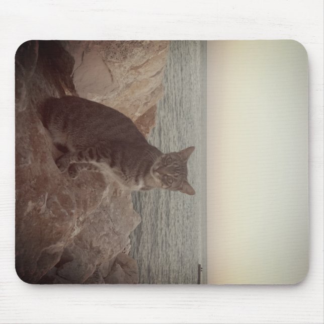 Tapis De Souris Mode Chat (Devant)