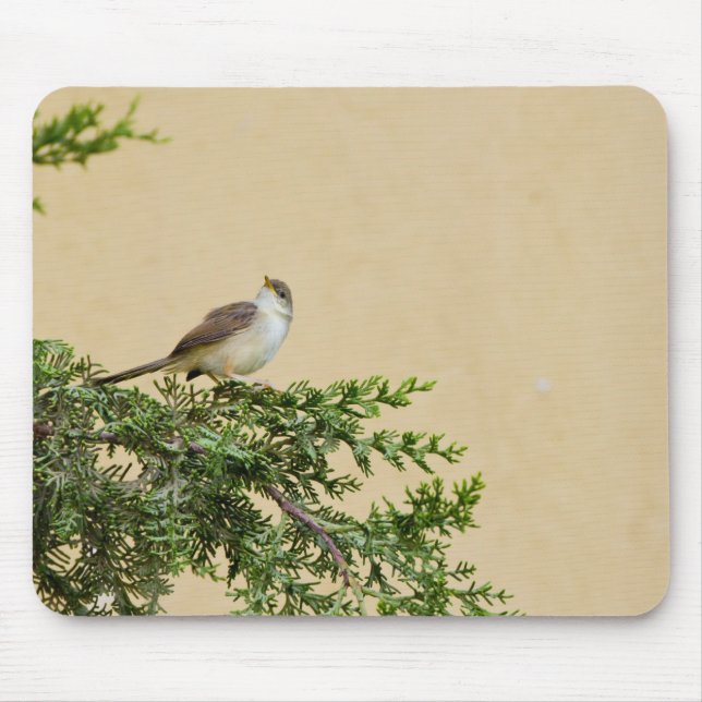 Tapis De Souris Moineau (Devant)