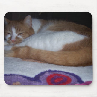 Tapis De Souris Mon KITTY ! !