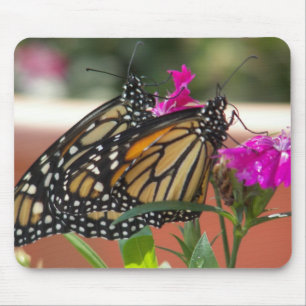Tapis De Souris Monarch Twins #1 mousepad