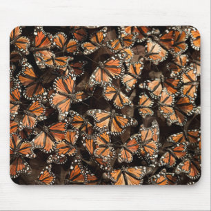 Tapis De Souris Monarque Butterflies