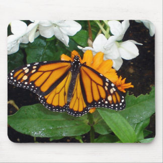 Tapis De Souris Monarque Mousepad