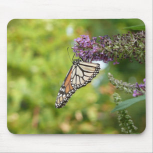 Tapis De Souris Monarque sur Buddleia