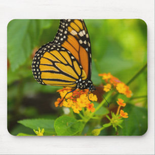 Tapis De Souris Monarque sur Lantana